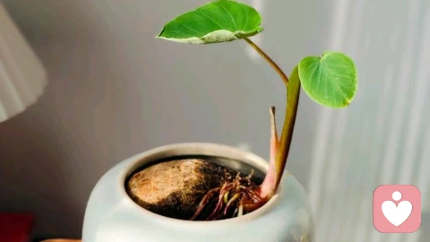 停止情绪内耗：4个实用方法，帮到你