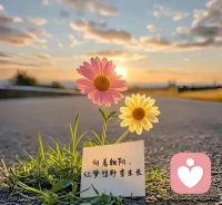 情绪焦虑时，不必强迫自己立刻振作。允许不安存在，给自己一点喘息的空间，慢慢来，你的感受，永远值得被温柔对待。