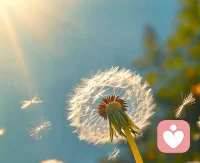 越用力抓，越容易失去。感情里，松弛一点，给自己和对方一点空间，反而更舒服。