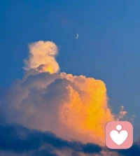 别让脑海里的反复纠结，偷走你当下的平静。内耗的尽头是接纳，放过自己，才能把能量留给真正重要的事。配图