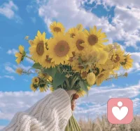 每一段相遇都有它的意义，哪怕短暂，也在教会我们如何爱与被爱，如何成为更完整的自己配图