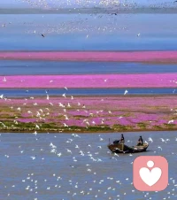 别让焦虑偷走你的快乐，它只是情绪的过客。深呼吸，告诉自己：“我可以，我能行”，你有足够的能力应对一切，慢慢来。配图