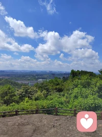 人生看似有很多條路，其實就一條。配圖