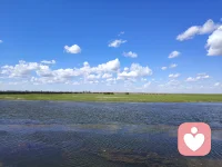 你因为爱他而亲了一下他的头发，但是你不知道他的头发经历了什么。