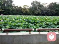 無論您是什么狀態，環境多么惡劣，好好保護自己的心，不要太被塵牢包裹。配圖