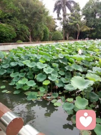 無論您是什么狀態，環境多么惡劣，好好保護自己的心，不要太被塵牢包裹。配圖