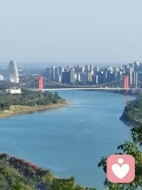 人是被業力，環境和自己馴化的，你自己知道嗎？你觀照自己的念頭了嗎？你是怎樣馴化自己的。配圖