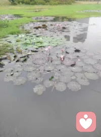 當你看到了那么多的惡，你就知道真誠善良的珍貴配圖