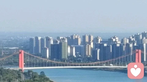 恋母情结能被疗愈吗