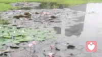怎样觉察自己的心理是什么状态