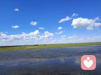 你的身體是你的盟友，而不是你的敵人。配圖