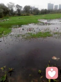 我想盡全力讓我愛的人幸福，最后我失敗了，因?yàn)槲彝浟藧畚易约号鋱D