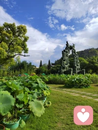 没有不会谢的花，没有不会暗的光，没有不会好的伤，就像没有不会停下来的绝望。