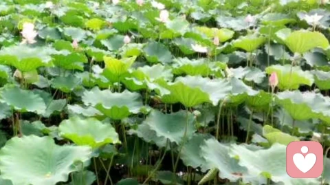 我们为什么那么焦虑