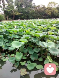 什么是精气神？就如同一个燃烧的蜡烛 。男同志最珍贵的东西，是蜡烛的油，然后气是指蜡烛的灯芯，神是指蜡烛照出的光。如果一个男同志过度的损耗，那么他现在因为年轻看不出来。到四五十岁的时候，身体衰弱了，很多疾病，就会显现出来。而且不容易治好。配图