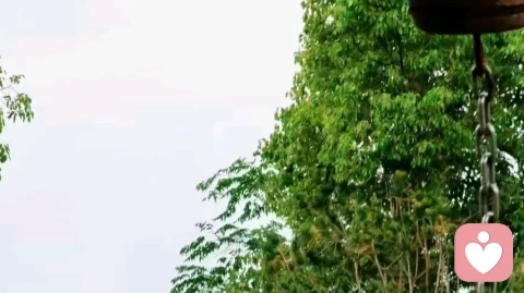 普通人咋不普通