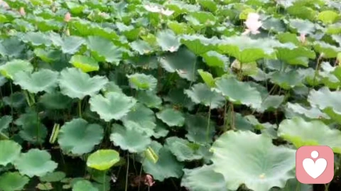 对自己好，还是别人好