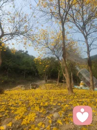 親近大自然，是難得的愜意時光配圖