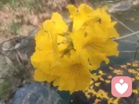 親近大自然，是難得的愜意時光配圖