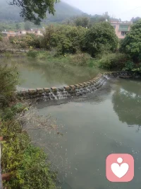 沒有什么煩惱是一場美景?一個黃桃罐頭解決不了的！如果有，那就再來一個吧??配圖