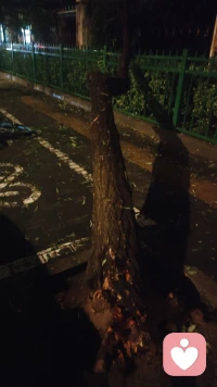 不管天氣多么惡劣！換個心情換個音樂！配圖