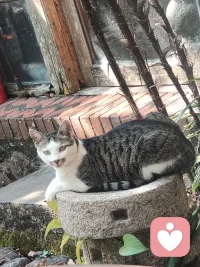 今天就讓你陪著我吧配圖