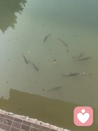 再見容易，再見難！配圖