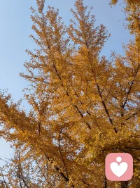 慵懶的午后，更適合傾訴與傾聽配圖