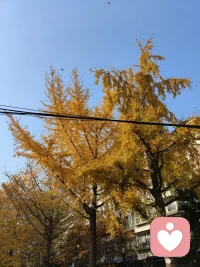 慵懶的午后，更適合傾訴與傾聽配圖