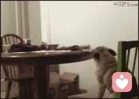 开心的时候就该这样！不开心的时候就等一会开心了再这样配图