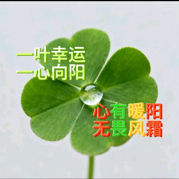 浠浠婚戀親子成長陪伴