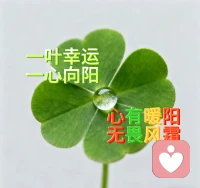 婚姻的溫度，

親子的尺度，

我們一起慢慢校準??

暖心陪伴，

有效咨詢，

讓蛻變如期而至??????配圖