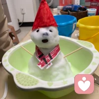 ??????夫妻關系要從三角關系去看；想要幫助一個孩子一定要走進家庭了解家庭關系的真相，形成合力。每個人都做好自己他人“二人之間”的關系不要參和別人之間的關系中，分清界限，只做好自己的關系，這樣才不會破壞他人與他人之間的關系。尤其是家庭三角關系中，夫妻之間的關系是扁擔關系，媽媽只做好與伴侶的關系，媽媽與孩子的關系，不要在爸爸和孩子的關系上發(fā)力用功，否則媽媽就在助力破壞爸爸與孩子的關系父子/女之間的關系是他們之間的關系。媽媽希望爸爸和孩子的關系好，你只管做好自己與自己的關系，你與伴侶的關系你與孩子的關系足矣????