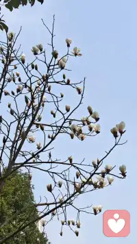 每个人回到自己的能量中心，成长自己才是王道，而不是把能量消耗在改变别人身上，尤其是在亲密关系的相处过程中，更是要允许父母做父母，伴侣做伴侣，孩子做孩子，允许“和而不同”就是一份最真挚的、无需言表的爱，也是最能滋养对方的，最接地气的，真真切切能接收到的最舒适，最有能量的❤️❤️❤️