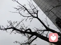 ❤️学习是一场漫‬长的攀登
孩子‬会累，会想停下，会迷茫
我们‬不必太焦虑，只需‬在身后轻轻推一把，告诉‬他再坚持一下
山顶‬的风景，真的‬很美❤️