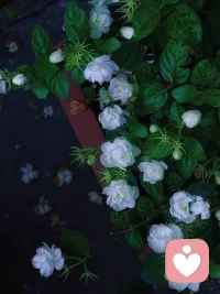 情緒如潮水，時而平靜，時而洶涌，皆是生命之美。配圖