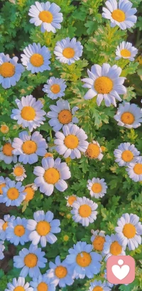 十月，你好！??配圖