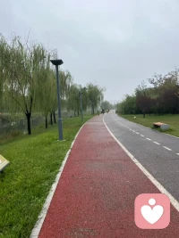 适合自己的就是最好的