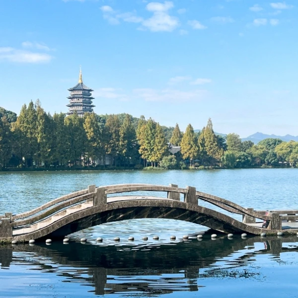 王老师[焦虑咨询]