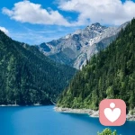 王老师心理的头像