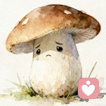 忧郁菇的头像