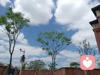 生命的美以不同的形式呈现在我们的生活中，带着轻松、宁静的心去真切地感受它，久而久之，一切都会变得愉快和美好起来，因为它们会滋养你的心，让你的心越来越美。
这种方式，也是正能量的一种获取。
 加油，亲爱的你，与我同行，愿我们越来越好！