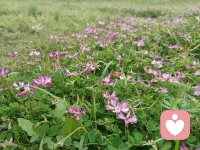 觉得内心很孤独、寂寞，也没有人能真正理解你，找个人人说说吧，我愿意倾听你的内心。相信我，你只是累了，需要暂停脚步好好诉说和休息！