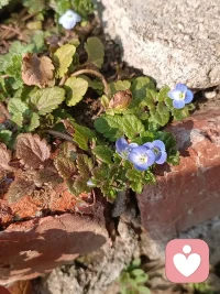 不是从孩子身上看到了希望
你才相信孩子
而是你相信了孩子
你才能有希望
如果你也有亲子关系的困扰，可以和我诉说、探讨哦，
我会耐心倾听的哦。