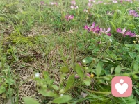 欢迎伊来找我诉说，我会认真、耐心倾听。伴你左右，从不评论。