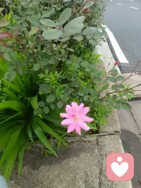 为什么父母们给孩子制造了这么大的压力？
徐浩渊博士说，最简单的解释是，父母将自己的焦虑转嫁给了孩子。父母，尤其是妈妈，他们自己的成长停滞下来，对自己能否适应社会产生了巨大的焦虑，但他们不是通过自己的成长去解决问题，而是将希望更多地寄托在孩子身上，结果让孩子承受了双倍的压力。
“家长希望孩子好，但常不知道该怎么做，”徐浩渊博士说，“最常见的是，他们不考虑孩子的心理需求，而是从自己的心理需求出发，为孩子设计人生。结果，他们出于爱心教育孩子，最后却发展出束缚孩子成长的非爱行为。”

“请举一个例子，好吗？”我问道。
听到这个最简单不过的问话，50多岁的徐博士突然哽咽起来，她忍着泪花讲了一个“每次必然让她流泪的真实故事”：
小学生小刚突然跳楼自杀。他留下遗书对爸爸妈妈说，他觉得无论怎么努力都达不到他们的期望，累极了。爸爸妈妈常说，他们对他很失望，他不想让爸爸妈妈再失望，所以想到了死。自杀前，他砸碎了自己的储钱罐，把攒了几年的零花钱留给了爸爸妈妈。他说，他走了，爸爸妈妈不需要那么辛苦了，如果他留下的钱不够，爸爸妈妈可以加些钱，“坐坐火车，坐坐轮船，你们去玩一玩吧……不要再那么辛苦了。”
回忆到这里，徐博士的泪水忍不住流下来。她说，小刚那么爱父母，他对父母“坐坐火车，坐坐轮船，你们去玩一玩吧……不要再那么辛苦了”的期望，其实是他自己最大的向往。他认为这是最好的事情，自己实现不了了，但希望自己最爱的父母去实现。
小刚的心理机制是投射，他最希望做一件事情，但自己得不到，就希望最爱的父母得到。他是将自己的愿望投射到了父母的身上。其实，父母对孩子的期望很多情况下也是投射，他们有种种心理需求，但不是通过自己的努力去实现，而是期望孩子能去实现。孩子是最爱的人，孩子实现了，就像是自己也实现了。
“这种心理是‘孩子不急父母急’的根本原因，”徐博士说，“父母们自己的心理需求得不到满足，却把由此带来的心理压力转嫁给了孩子。”