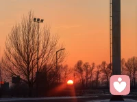 “恋母情结”是一个源自精神分析心理学的重要概念，具有特定的学术内涵，也常被大众文化所讨论和简化。以下是一份清晰、结构化的知识笔记，旨在从多个层面进行深入且客观的解析。

---

核心定义：俄狄浦斯情结

恋母情结，更准确的学术名称是 “俄狄浦斯情结” ，由精神分析学派创始人西格蒙德·弗洛伊德提出。

· 核心概念：指儿童在性心理发展过程中（约3-6岁的性器期），会对异性父母产生本能的依恋和性渴望，同时将同性父母视为竞争对手，并因此产生矛盾和焦虑。
· 对应概念：女孩对父亲的依恋则称为 “厄勒克特拉情结” ，虽由荣格提出，但弗洛伊德本人更倾向于使用“女性俄狄浦斯情结”来描述。
· 命名来源：源于古希腊悲剧《俄狄浦斯王》，主人公在不知情的情况下杀父娶母。

---

弗洛伊德理论中的发展阶段与化解

1. 经典三阶段

· 欲望阶段：儿童渴望独占异性父母的爱。
· 焦虑阶段：儿童因对同性父母的敌意，恐惧遭到报复（男孩表现为“阉割焦虑”，女孩则表现为“阴茎妒羡”）。
· 化解阶段：为了缓解焦虑，儿童最终压抑对异性父母的欲望，转而认同同性父母，内化其性别角色、道德观念与社会规范。这个过程是超我（道德良心）形成的关键。

2. 成功化解的意义

· 标志着“性器期”的结束和“潜伏期”的开始。
· 是形成健康性别认同、道德观念和进入社会规则的重要心理步骤。
· 未妥善处理的俄狄浦斯冲突，被认为是日后神经症、心理问题及人际关系模式的潜在根源。

---

现代心理学视角的批判与演进

弗洛伊德的理论自提出以来就备受争议，现代心理学（尤其是发展心理学和神经科学）对其进行了大幅修正：

1. 缺乏科学证据：其理论基于个案研究和回溯性解释，难以用现代科学方法验证。
2. 文化中心主义：理论强烈反映了维多利亚时代欧洲中产阶级的家庭结构（核心家庭、父权制），不具备跨文化普遍性。
3. 性别偏见：对女性心理发展的描述（如“阴茎妒羡”）被广泛批评为充满男性中心主义的偏见。
4. 概念泛化与简化：
   · 学术上：更多被视作一个关于早期亲子三角关系、依恋与竞争的隐喻性模型，而非字面意义上的性欲望。
   · 大众文化中：常被泛化和误用，用来简单标签任何母子关系亲密或男性择偶偏好与母亲相似的现象，这严重偏离了其原意。

---配图