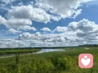 . 《母爱如茧：过度紧密的母子关系如何塑造又束缚一个男性》
2026-1—10

 358  0

作为一名心理师，我常遇到这样的家庭：一个看似优秀的男孩，却莫名感到空虚、迷茫，不知自己为何而活。深入探索，往往发现他们与母亲之间存在着一种超越常态的、近乎共生的情感联结——这不是简单的“恋母”，而是一个系统性的家庭情感现象。

一、当母爱不再是港湾，而是定义自我的唯一坐标系

传统意义上的“恋母”已不足以描述现代家庭中某些复杂的母子动态。这些男孩并非停留在幼儿期的依赖，而是在成长过程中，内化了母亲的情感需求与价值体系，成为了母亲情感的延伸。

临床观察中常见的三种模式：

情感替代型：父亲角色缺位（物理或情感上），男孩无意识地被推入“伴侣替代”位置，承担起母亲情感陪伴者的角色

价值实现型：母亲将自己的未完成抱负寄托于儿子，儿子通过实现母亲的期望来获得爱

共生依恋型：母子间缺乏心理边界，相互的情感需求交织成难以分割的整体

一位28岁的来访者曾这样描述：

“我的人生就像在演一场剧本精彩的戏，导演是我妈。我演得很好，却不知道自己卸妆后是谁。”

这种深层的疏离感，正是“空心病”的核心体验。💭

二、男孩成为“精神伴侣”的四个家庭密码

父亲角色的功能性在场与情感性缺席：许多家庭中，父亲提供了物质保障，却缺席于情感世界。母亲的情感河流无处流淌，自然转向最容易接触的孩子——尤其是儿子，这个家庭中“最像男人”的存在。

母亲未被看见的情感世界：当一位女性的情感需求、创造欲望或自我价值感在婚姻和社交中得不到充分满足，她可能将儿子转化为自己的“精神作品”或“情感伴侣”，这种关系往往包裹着“伟大母爱”的外衣。

社会期待与文化叙事的强化：“孝顺”“听话”“母子连心”这些本应美好的词汇，在某些情境下异化为情感捆绑的道德枷锁。男孩对母亲的任何心理分离都可能被自己或家庭体验为“背叛”。

替代性亲密关系的形成：当青春期本该发生的向外社交、探索亲密关系受阻或失败时，男孩可能退回与母亲的安全关系中。这种关系虽然“安全”，却阻碍了心理上的真正独立。配图