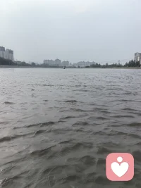 “原生家庭”指我们童年和青少年时期成长的家庭环境，通常由父母、兄弟姐妹等主要照顾者组成。这个概念能帮助我们理解：早期的家庭经历如何塑造了一个人的思维、情感和行为模式。

在心理学和大众讨论中，它常被用来分析两个层面：

· 积极影响：安全、有爱的家庭能培养出健康的自尊、信任感和抗压能力。
· 潜在挑战：如果经历忽视、过度控制、情感冲突或虐待，可能导致成年后在亲密关系、自我价值或情绪管理上出现困扰。比如难以建立信任、过度讨好他人、或重复父母的冲突模式。

一些常见的关联问题：

· “父母也是第一次当父母”：提醒我们避免简单归因——许多模式是代际传递的结果，而非恶意。
· 核心不是指责：理清原生家庭的影响，不是为了追责，而是为了自我觉察与成长。承认伤痛，同时看到自己有能力做出改变。
· 关键概念：如“内在小孩”（童年受伤的部分）、“强迫性重复”（不自觉地重演早期关系模式），以及“情绪安全感”对人格发展的作用。

如果你在思考自己的原生家庭，可以尝试：

1. 用笔写下“我们家习惯怎样表达情绪/处理冲突/理解成功”——识别隐性家庭规则。
2. 问自己：“哪些反应像是对童年环境的适应，但已不再适合现在的我？”
3. 尝试与信任的朋友、心理咨询师讨论，或阅读相关经典书籍，如《原生家庭：如何修补自己的性格缺陷》。配图