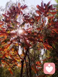 生活只有10%是事情，剩下的90%是對待事情的態度；和清晨的陽光一起，把一天的愉悅舉起。祝早安！配圖